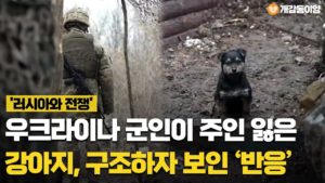 ‘러시아와 전쟁’ 우크라이나 군인이 유기견 구조해 주자 보인 반응