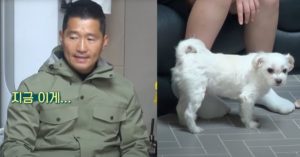 KBS ‘개훌륭’ 강형욱이 처음으로 알려준 강아지 ‘엉덩이’ 행동의 진짜 의미