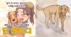 (만화) 앞이 안 보이는 강아지 시력 되찾은 순간.. 엄마가 꼭 끌어안으며 뱉은 ‘단 한마디’