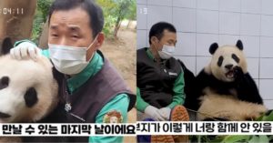 “이별 준비..” 할부지 강바오 사육사가 드러낸 푸바오를 향한 애틋한 마음 (인터뷰)