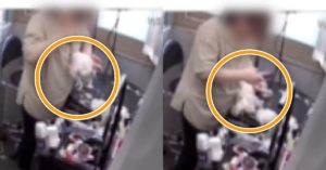 실시간 경남 창원 강아지 학대로 살해한 애견 미용실이 지금도 영업 중 (CCTV 현장사진)