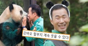 “강바오&푸바오 이별 안하게끔..” 중국 판다 담당자 너무도 희망적인 메시지 남겼다