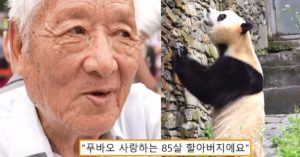 “제가 85살 할아버지인데 푸바오를 너무 사랑해요” 푸공주 보러 먼길 찾아온 분이 남긴 너무 멋진 발언