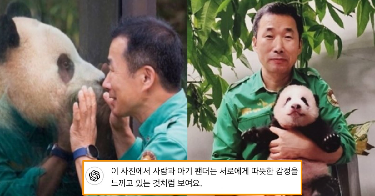 “유리창을 두고 서로를 바라보는 모습은..” 챗GPT가 분석한 강바오X푸바오 사진, 모두가 눈물 흘렸다