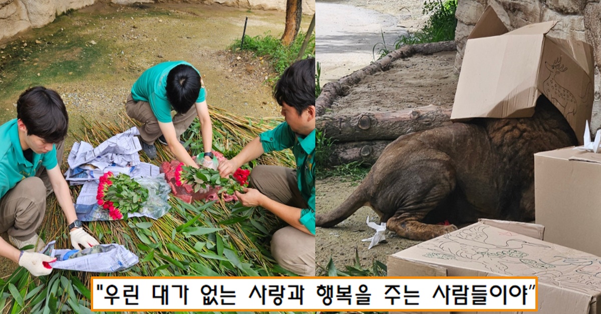 “판월 주키퍼 분들 말고 이분들도 있어요” 최근 사람들 감동시킨 에버 사파리 주키퍼들의 정성