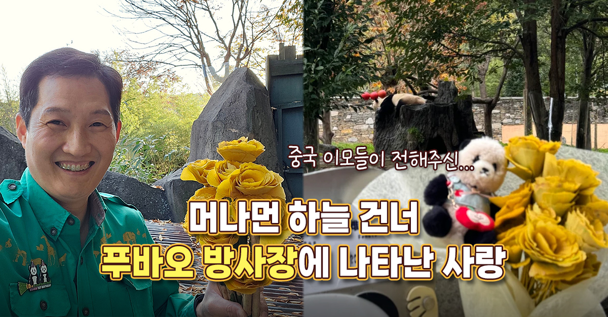 “중국 이모들이 전해주셨네요” 머나먼 하늘 건너 푸바오 방사장에 나타난 사랑