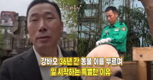 강바오가 36년 간 매일 출근하자마자 동물 이름 부르며 일 시작하는 특별한 이유