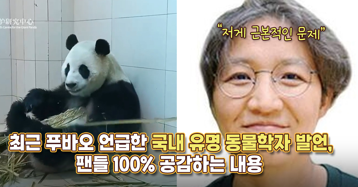 “저게 근본적인 문제“ 최근 푸바오 언급한 국내 유명 동물학자 발언, 팬들 100% 공감하는 내용
