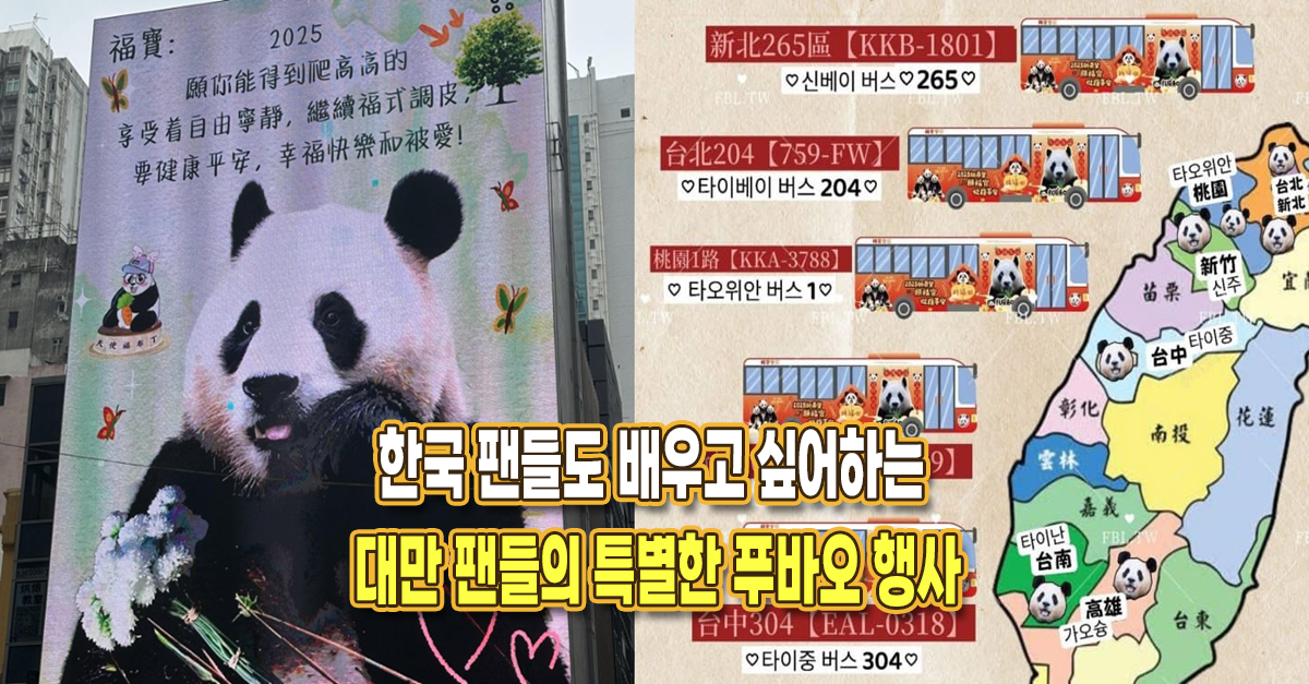 “이런 방식은 처음본다” 한국 팬들도 배우고 싶어하는 대만 팬들의 특별한 푸바오 행사