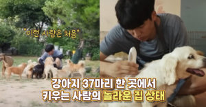 “이런 사람은 처음” 강아지 37마리 한 곳에서 키우는 사람의 놀라운 집 상태