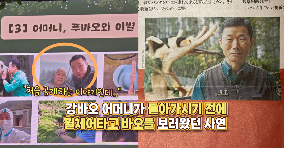 “처음 공개하는 이야기인데..” 강바오 어머니가 돌아가시기 전에 휠체어 타고 바오들 보러왔던 사연