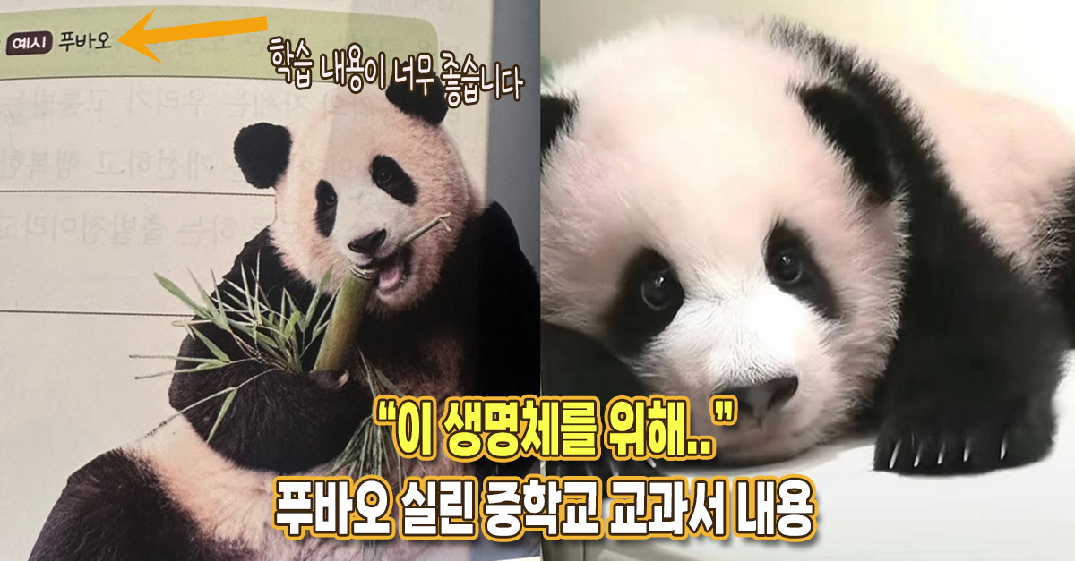 “이 생명체를 할 수 있는 일이..” 실제 중학교 교과서에 실린 푸바오