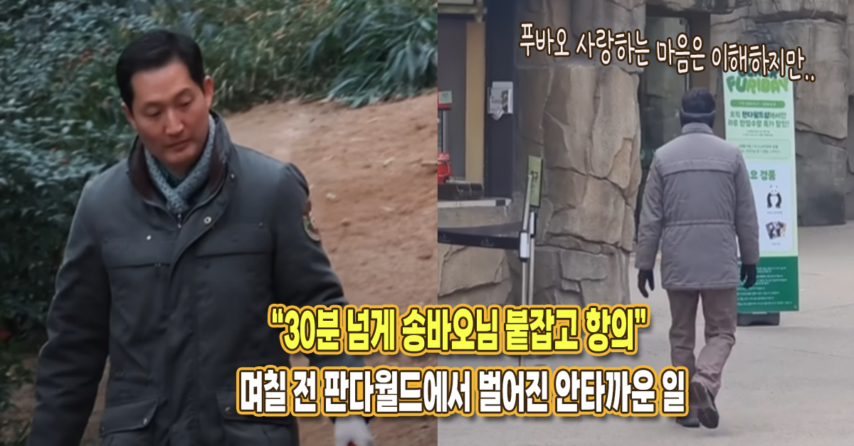 “송바오 30분 넘게 붙잡고 푸바오 항의하던데..” 며칠 전 판다월드에서 벌어진 불미스러운 일
