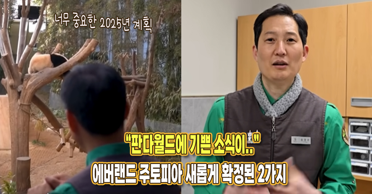 “판다월드에 너무 기쁜 소식이..” 에버랜드 주토피아에 새롭게 들어오는 것이 확정된 2가지