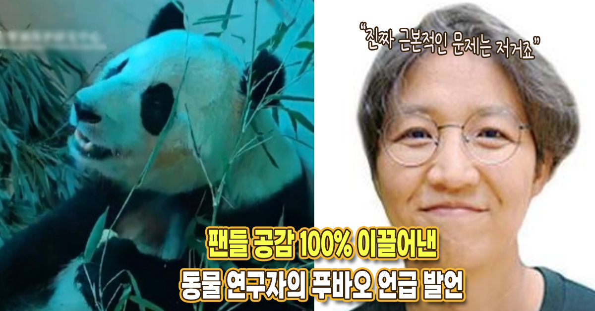 “이게 근본적인 문제죠” 판다 팬들 100% 공감한 유명 동물학자의 푸바오 언급 발언