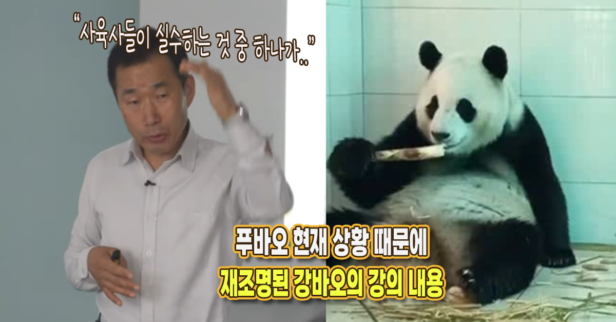 “사육사들이 실수하는 것 중 하나가..” 푸바오 현재 상황 때문에 재조명된 강바오의 강의 내용