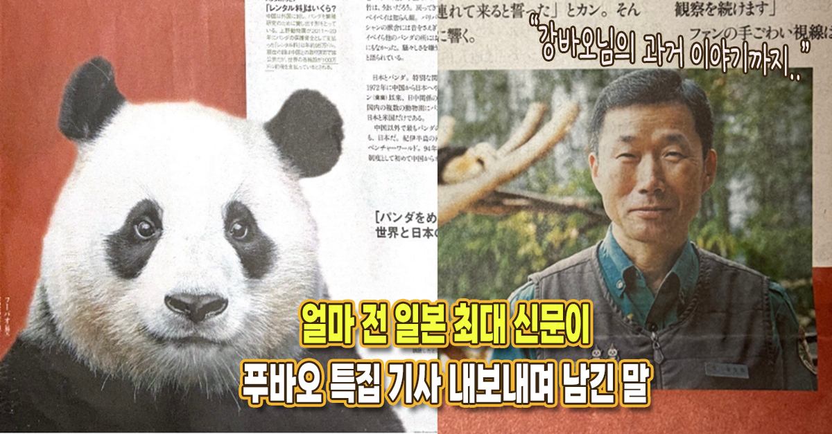 “일본에서의 영향력도” 최근 일본 최대 신문이 오직 푸바오를 특별하게 다루며 남긴 말