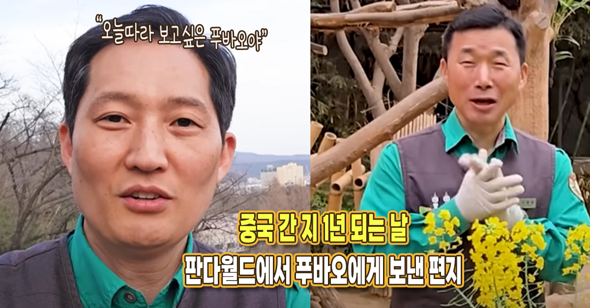 “우리 복보 간 지 1년인데..” 에버랜드 판다월드 주키퍼 3명이 푸바오에게 보내는 편지