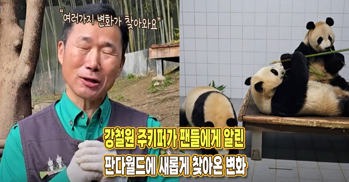 “새로운 변화가 찾아옵니다” 강철원 주키퍼가 팬들에게 자세하게 알린 현재 판다월드 상황