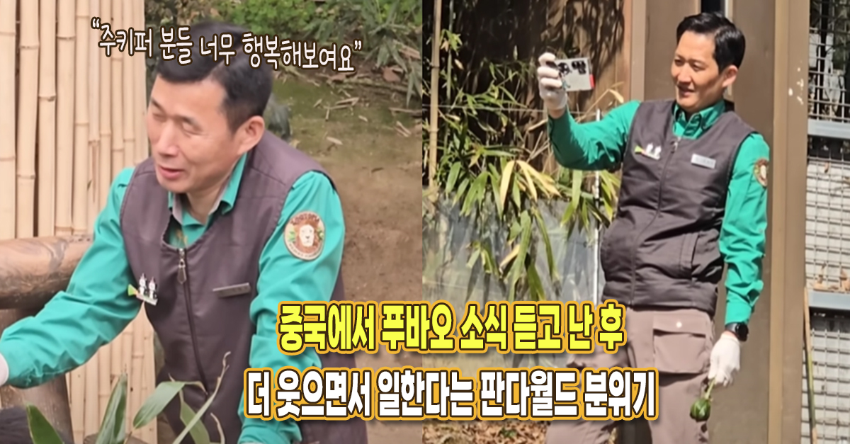 “판월 분들도 행복해해요” 푸바오 소식 듣고 더 웃으면서 일한다는 강바오 & 송바오