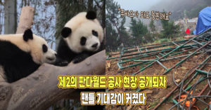 “푸바오가 와도 충분해요” 제2의 판다월드 공사 현장 모습 공개되자 팬들 기대감이 커졌다