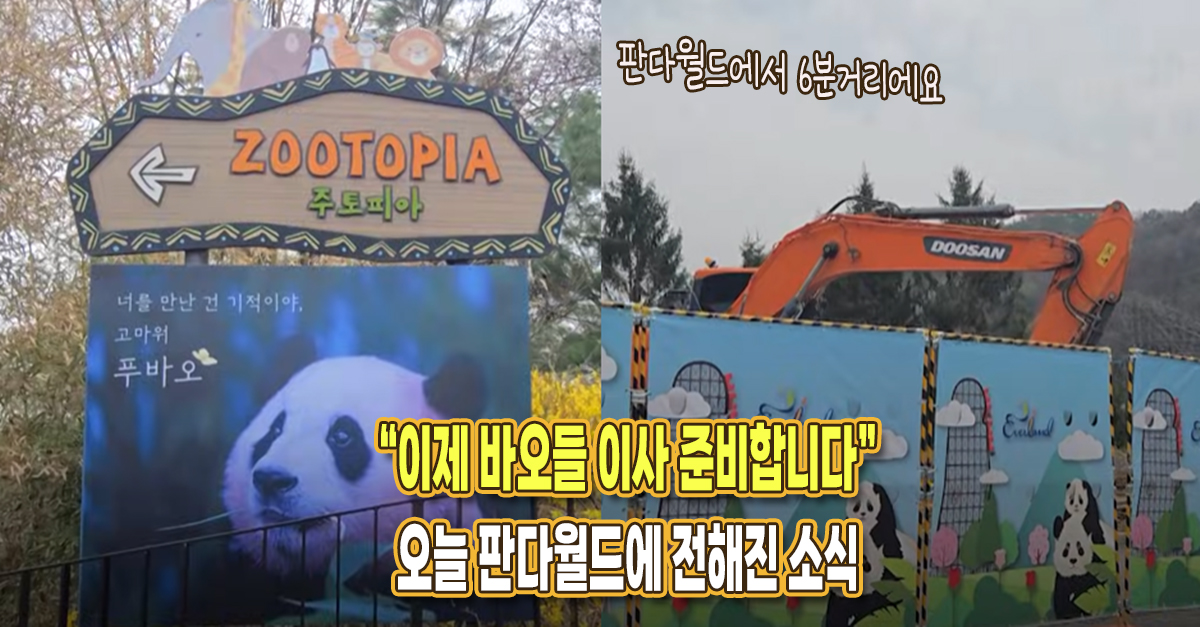“이제 바오들 이사 준비합니다” 오늘 판다월드에 전해진 소식에 모두가 주목하고 있다