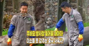 푸바오 먹일 생각해 기뻐서 죽순 줄 때마다 미소 못 감추는 중국 세칭양 사육사