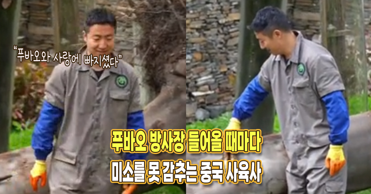 푸바오 먹일 생각해 기뻐서 죽순 줄 때마다 미소 못 감추는 중국 세칭양 사육사